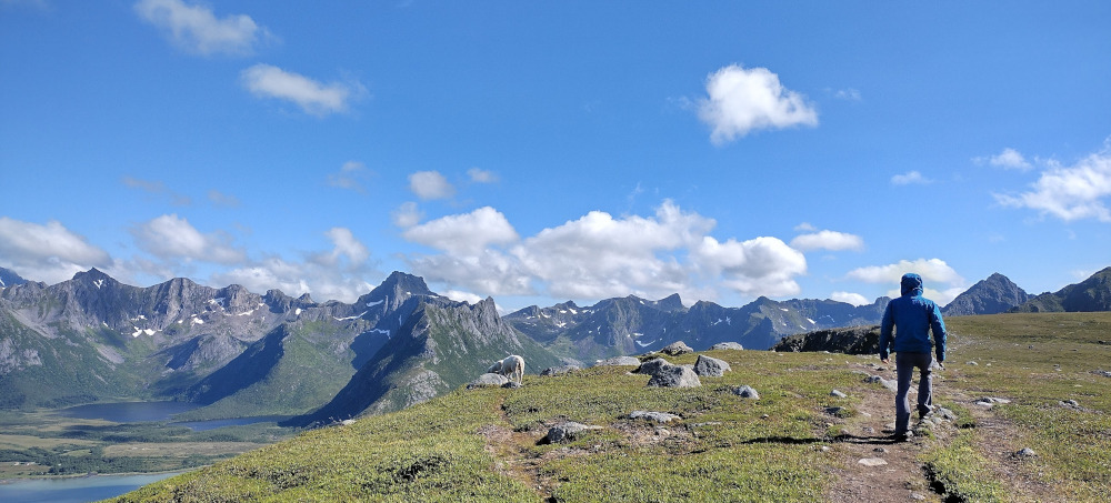 Hiking in Lofoten